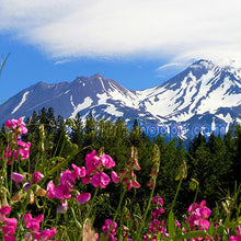 Load image into Gallery viewer, 11&quot;x8.5&quot; Photography Paper Print《Summer Mt.Shasta》