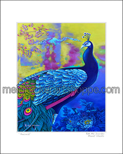 8"x10" Art Matted Print《Peacock》