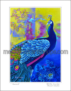 8.5"x11" Art Paper Print《Peacock》