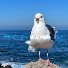 Load image into Gallery viewer, 14&quot;x11&quot; Photography Matted Print《Monterey Bay》