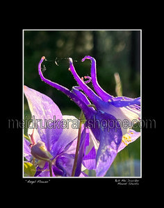 11"x14" Photography Matted Print《Angel Flower》