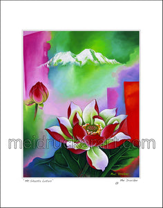 11"x14" Art Matted Print《Mt.Shasta Lotus》