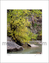 Load image into Gallery viewer, 11&quot;x14&quot; Art Matted Print《Spring》