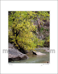16"x20" Art Matted Print《Spring》