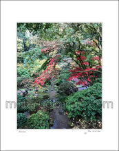 Load image into Gallery viewer, 11&quot;x14&quot; Art Matted Print《Garden》