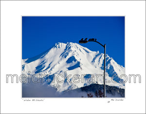 14"x11" Art Matted Print《Winter Mt.Shasta》
