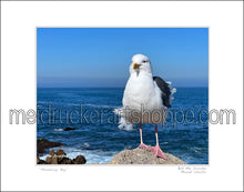 Load image into Gallery viewer, 14&quot;x11&quot; Photography Matted Print《Monterey Bay》