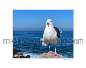 14"x11" Photography Matted Print《Monterey Bay》