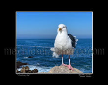 Load image into Gallery viewer, 14&quot;x11&quot; Photography Matted Print《Monterey Bay》