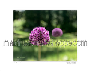 14"x11" Photography Matted Print《Flower 》