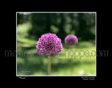 Load image into Gallery viewer, 14&quot;x11&quot; Photography Matted Print《Flower 》