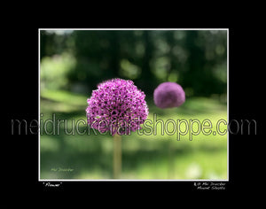 14"x11" Photography Matted Print《Flower 》