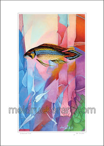 11.69"x16.5" Art Paper Print《Iridescent Fish》