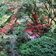 Load image into Gallery viewer, 8&quot;x10&quot; Art Ceramic Tile Print《Colorful Garden》