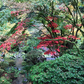 8"x10" Art Ceramic Tile Print《Colorful Garden》