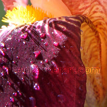 Load image into Gallery viewer, 8.5&quot;x11&quot; Art Print《Iris》