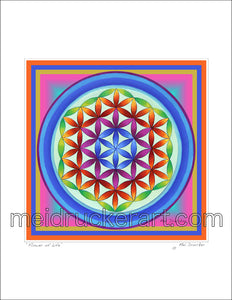 8.5"x11" Art Print《Flower of Life》