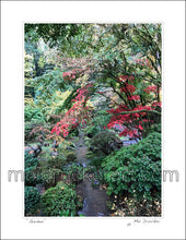 Load image into Gallery viewer, 8.5"x11" Art Print《Garden》