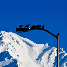 Load image into Gallery viewer, 20&quot;x16&quot; Art Matted Print《Mt.Shasta》