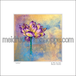 16"x16" Art Matted Print《Lotus》