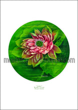 Load image into Gallery viewer, Art Paper Print《Lotus》-( 3 more size )