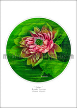 Load image into Gallery viewer, Art Paper Print《Lotus》-( 3 more size )