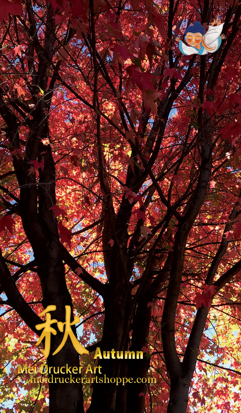 Art Screensaver《Autumn》